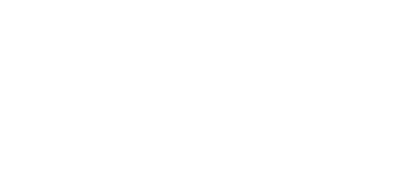 Viaplus Software ViaPlus_W | ViaPlus